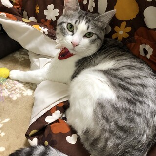 甘えん坊ちゃん