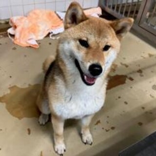 おうちに帰れました。