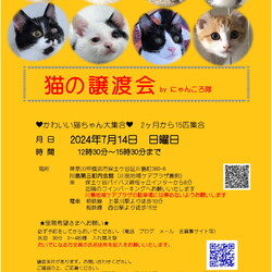 7月14日　猫の譲渡会　by にゃんころ隊