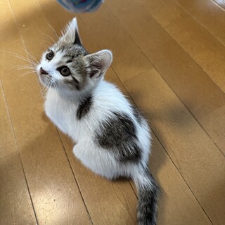 ☆元気な女の子☆