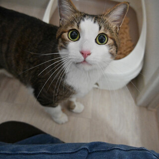 いつ：三度の飯より人が好き！