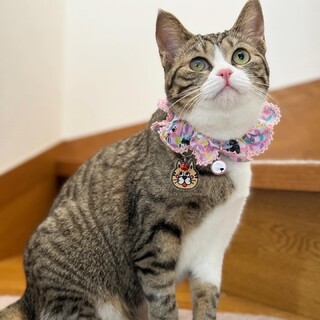 希雪(きゆき)ちゃん☆ 予約につき一旦停止中