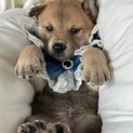元気いっぱいのふたばくん