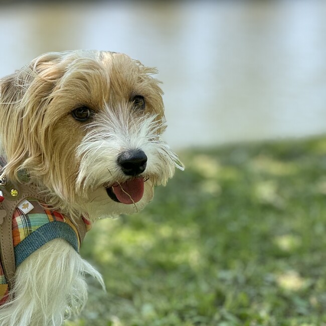 AKI4300のカバー写真