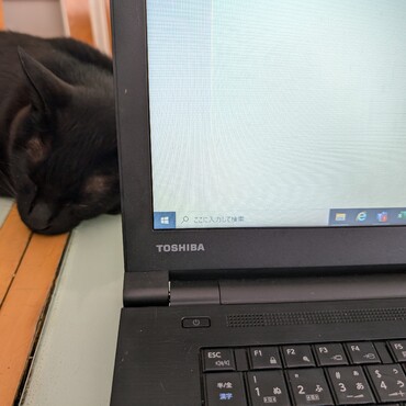 今日もお仕事監視されてます