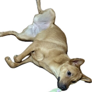 の写真