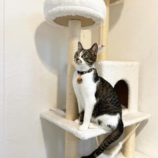 めちゃくちゃ甘えん坊で賢いモアナちゃん♡