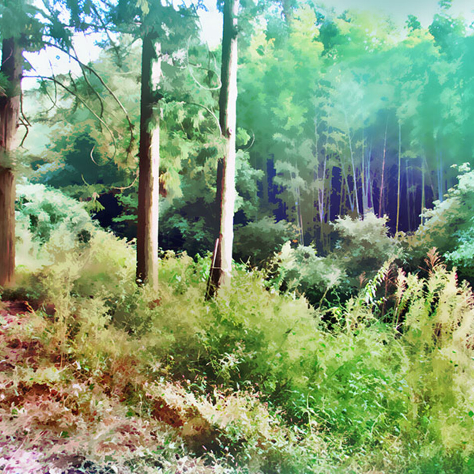 那智のカバー写真