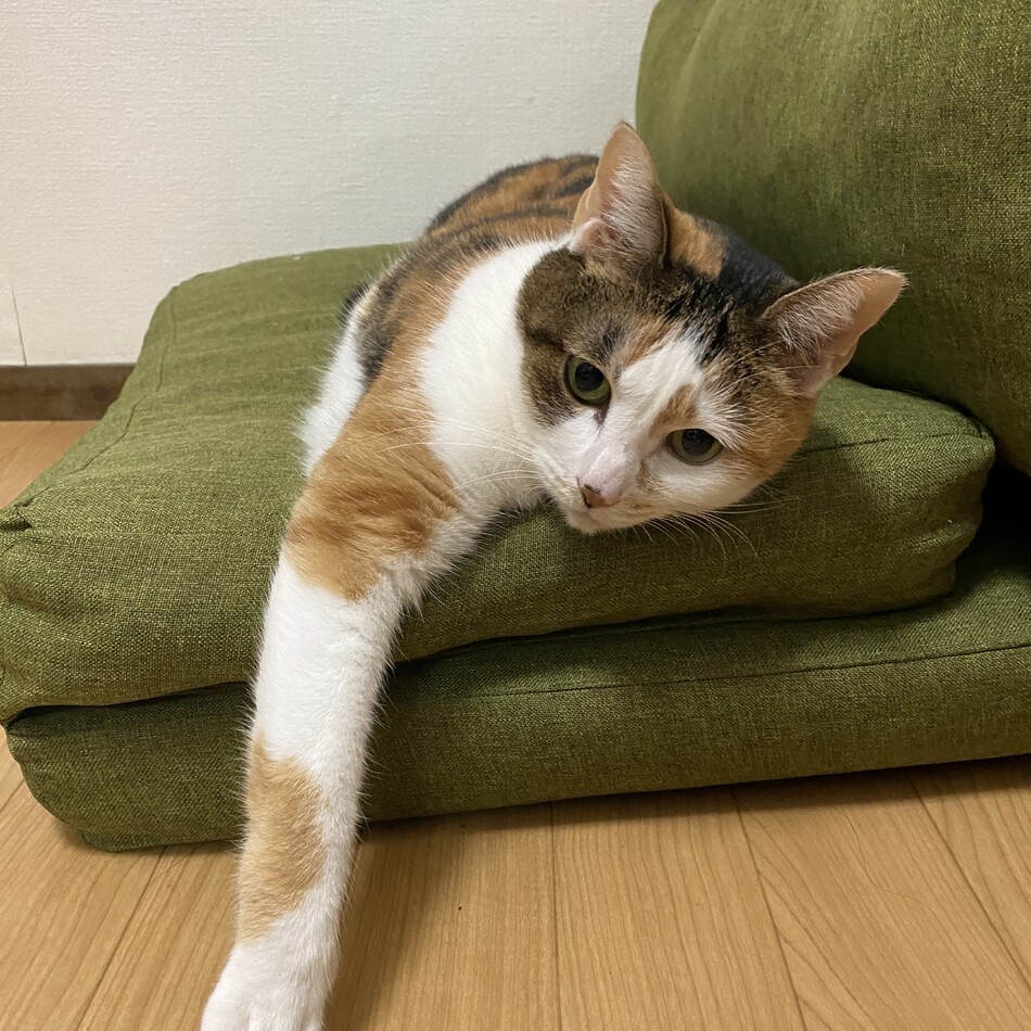 マーブルのカバー写真