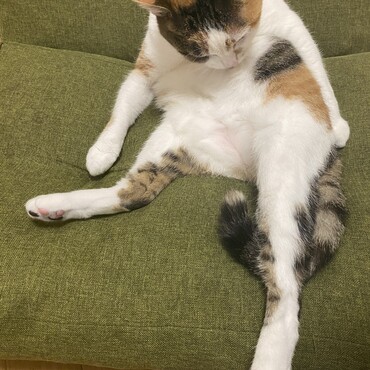 の写真