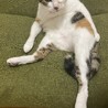 の写真