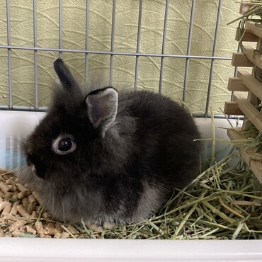 横からアングル