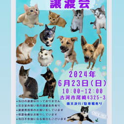 保護犬猫☺︎譲渡会 @古河市
