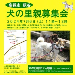 「犬の合宿所in高槻」の里親募集会