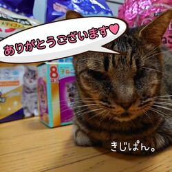 「2024.06.19」サムネイル1