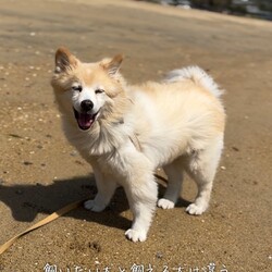 「2024.06.21」サムネイル1