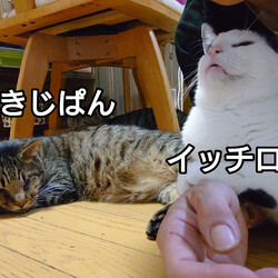 「2024.06.18」サムネイル2