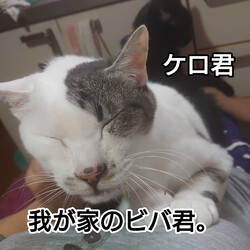 「2024.06.18」サムネイル3