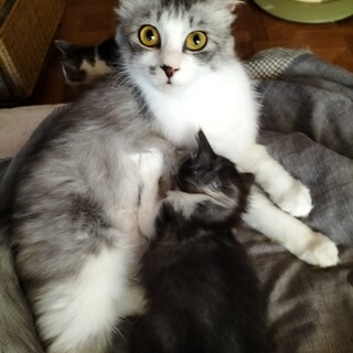 尊すぎる…仲良し母子ペア♡