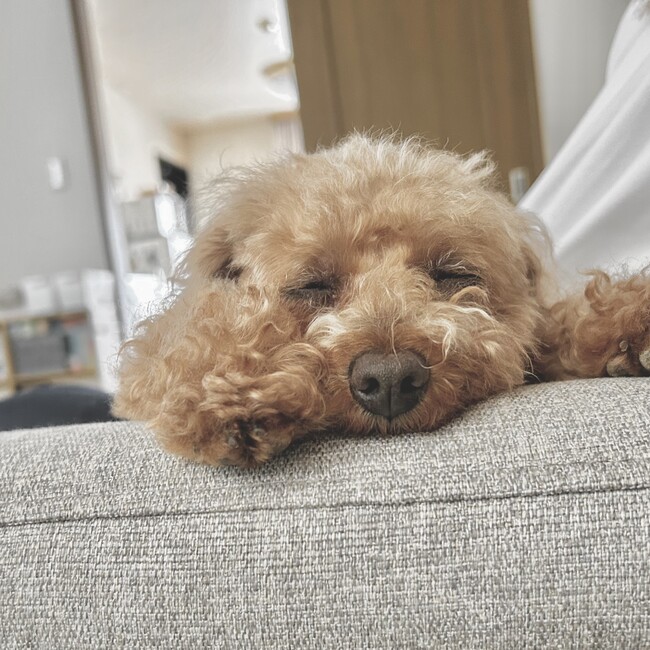 ksykのカバー写真