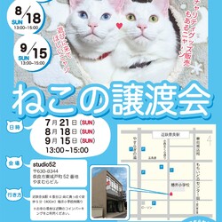 猫の譲渡会