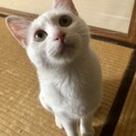 お膝大好き！　メイちゃん　10ヶ月