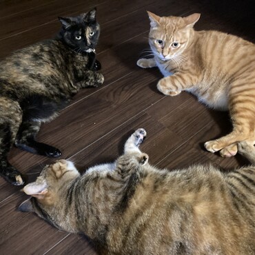 親子３人