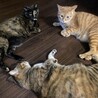 親子３人
