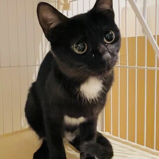 こうめちゃん(母)、レン君と母子一緒に