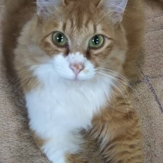 見た目ゴージャス✨性格は更に✌️✨