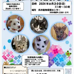 いぬねこ譲渡会