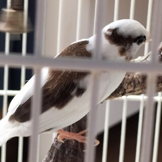 ご応募有り難うございました！