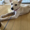 一旦募集停止ただ処分を待つ毎日でした