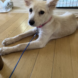 一旦募集停止ただ処分を待つ毎日でした