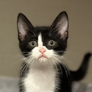 募集停止甘えん坊ボーイ⭐️ごえん