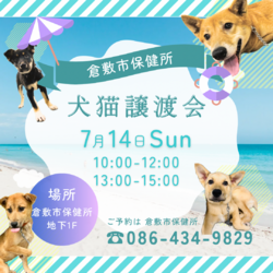 倉敷市保健所　収容犬猫譲渡会