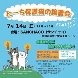 とーち保護猫の譲渡会@三軒茶屋