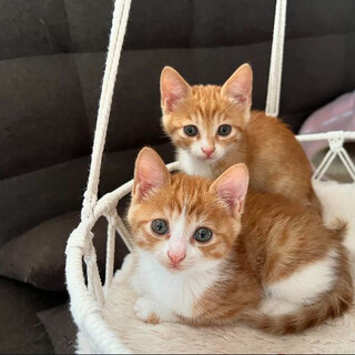 ♦︎すい&あまね♦︎兄妹