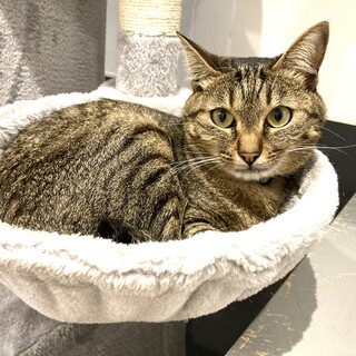 【ハイジ】小柄なお膝乗りの女の子