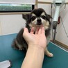 とってもイケメンなくう君！ サムネイル2