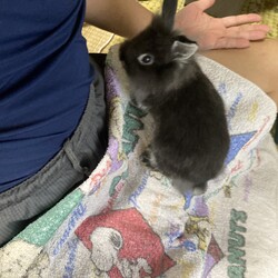 「昨日から…」サムネイル2