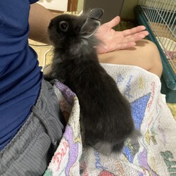 「昨日から…」サムネイル3