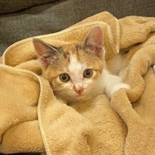 生後1ヶ月半女の子