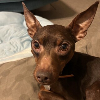 協力ボランティアさまに団体間移動しました