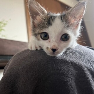 鼻を「ガブッ」と…全ては愛情表現♡おてんば娘さと