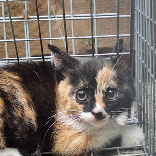 他でご縁が繋がりました。有難うございました！