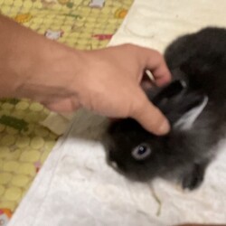 「遊んであそんで～」サムネイル3