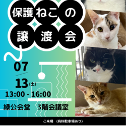 保護ねこの譲渡会　in 横浜市緑区
