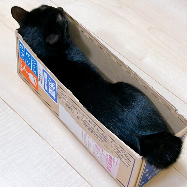 0わか0のカバー写真
