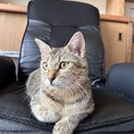 ヤンママになったヨルちゃん